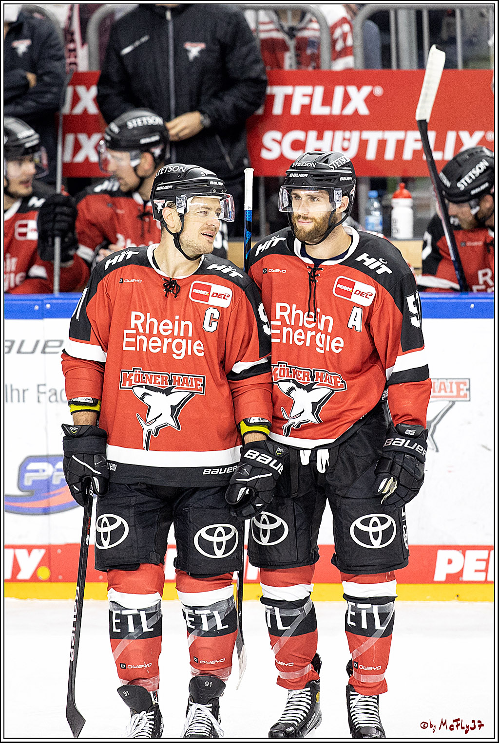 PENNY DEL;  Koelner Haie - Nuernberg Ice Tiger; Koeln, 21.09.2021